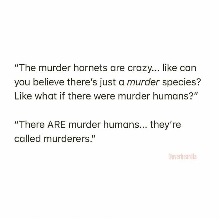 Overheard LA exchange regarding the news of "murder hornets." One person wonders if "murder humans" exist, only for their companion to point out the obvious: "There ARE murder humans... they're called murderers."