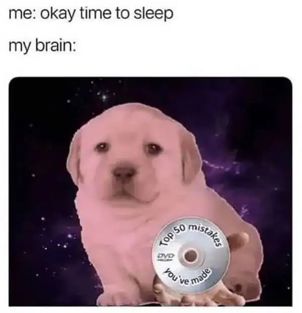 dark humor sleep meme featuring a sad-eyed puppy against a deep-space background, holding a silver disc titled "Top 50 mistakes you've made." It perfectly illustrates the brain's decision to play an "embarrassment highlight reel" the moment you try to drift off.