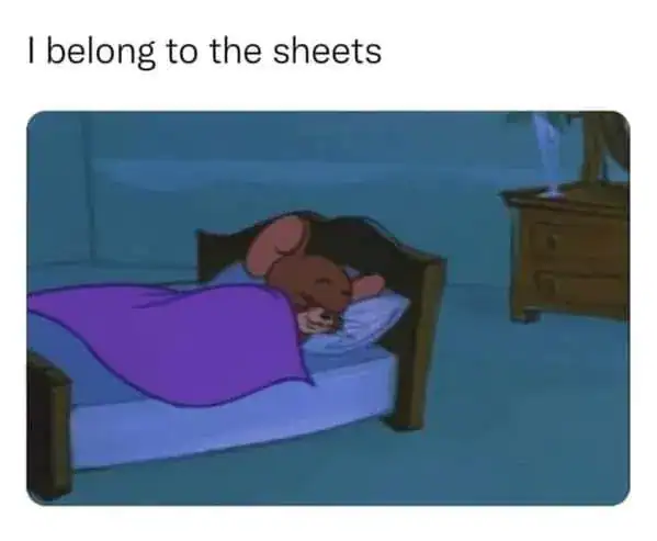 sleep meme featuring Jerry the Mouse tucked into a cozy bed with a purple blanket. The caption "I belong to the sheets" humorously subverts the popular "I belong to the streets" slang, prioritizing rest over the hustle.