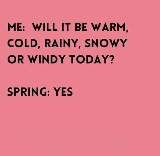Pink text meme asking spring about the weather with spring answering simply "yes"