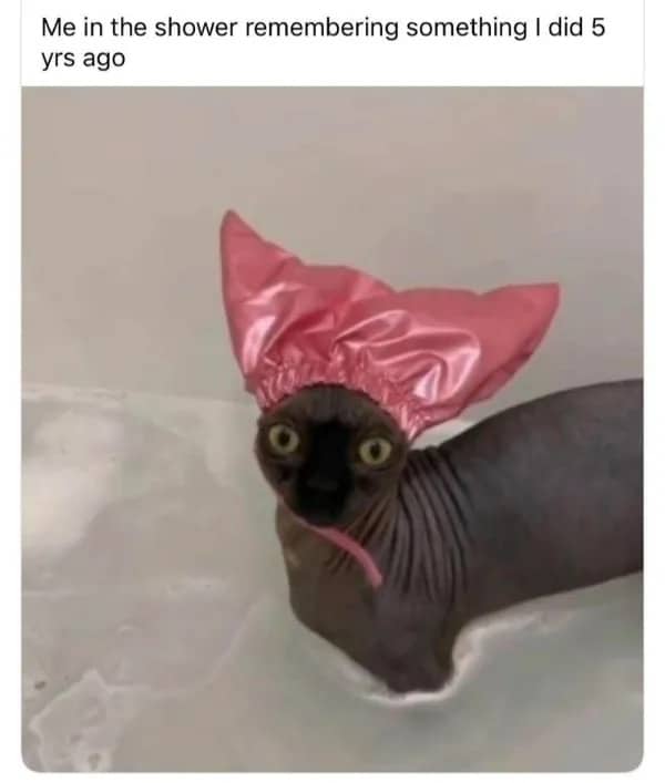 Sphynx cat wearing a pink shower cap looking wide-eyed, captioned about remembering cringey past mistakes.