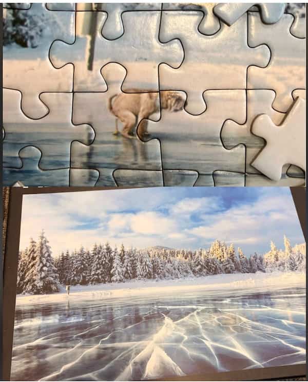 Jigsaw puzzle of a snowy landscape reveal featuring a tiny dog pooping in the image.