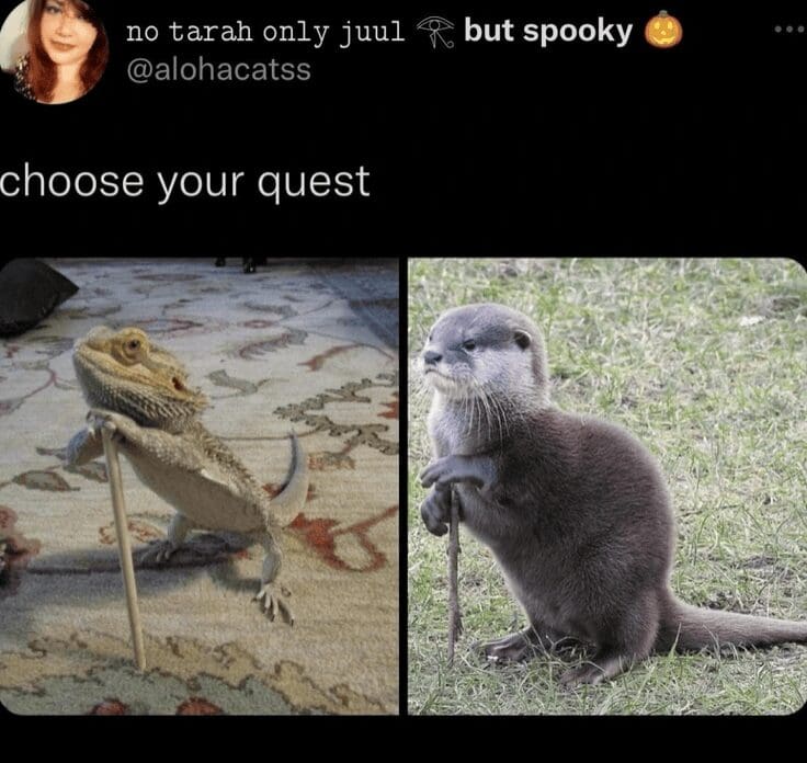 Side-by-side quest options presenting a bearded dragon leaning on a miniature wooden staff on the left and a tiny otter holding a twig on the right in a cute dnd meme.
