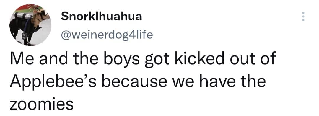 Text tweet joke about getting kicked out of Applebee's for having zoomies, funny memes.