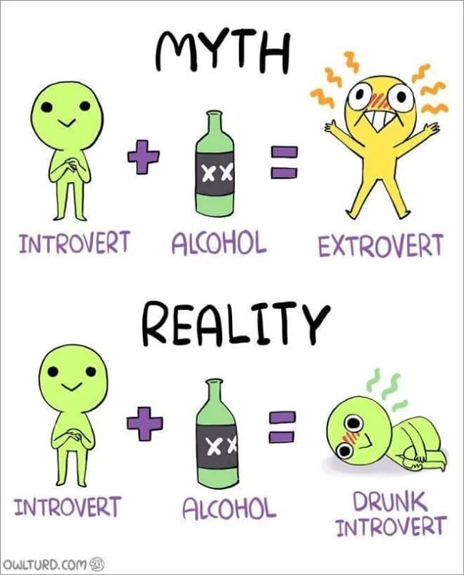 A comic panel by Owl Turd serving as an introvert meme clarifying that adding alcohol to an introvert doesn't magically turn them into an extrovert, but rather a curled-up, sleepy drunk introvert.