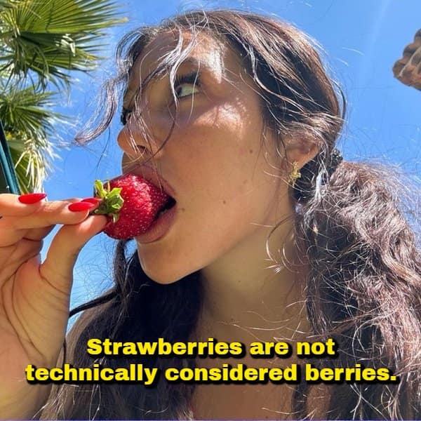 A botanical random fact displaying a bright outdoor close-up of a girl eating a ripe strawberry, featuring the classic trivia that strawberries are not scientifically classified as true berries.