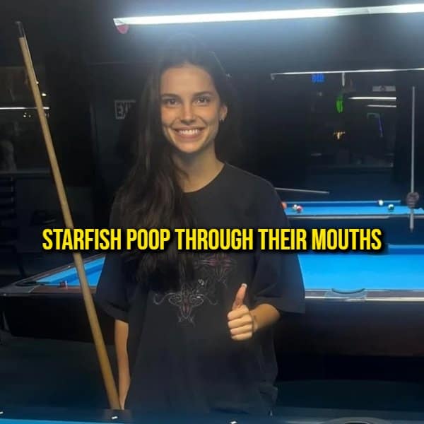An unhinged marine biology random fact featuring a woman giving a cheerful thumbs-up by a pool table under text revealing starfish evacuate waste through their mouths.