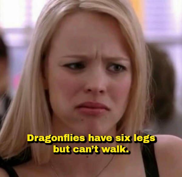 Regina George from Mean Girls staring with a bewildered, disgusted face, paired with an anatomical random fact pointing out that dragonflies possess six legs yet remain completely incapable of walking.