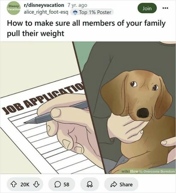 A pet owner gently holds their dachshund's paws while filling out an official job application form on the desk, captured in a viral wikihow meme on chore distribution.