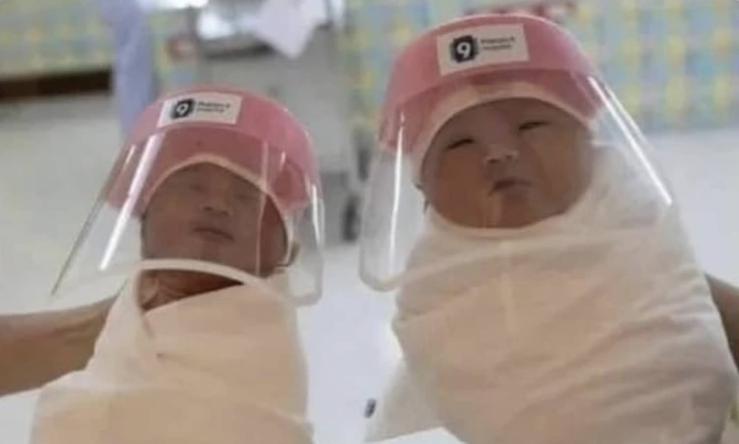 Newborn babies wearing medical face shields and swaddled in white blankets in hospital.