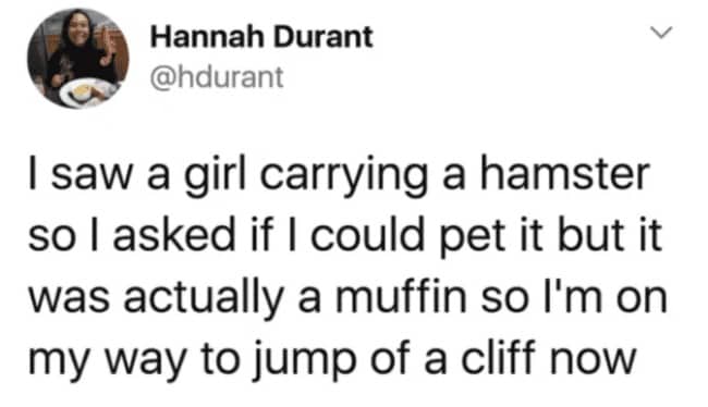 Tweet about asking to pet a hamster that turned out to be a muffin