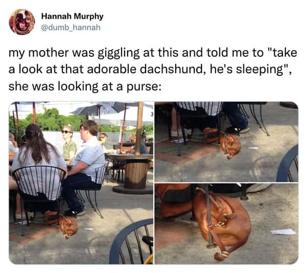 Tweet showing a mother mistaking a brown leather purse under a chair for a sleeping dachshund