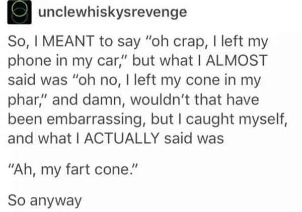 Tumblr post about a verbal slip ending with the phrase ah, my fart cone
