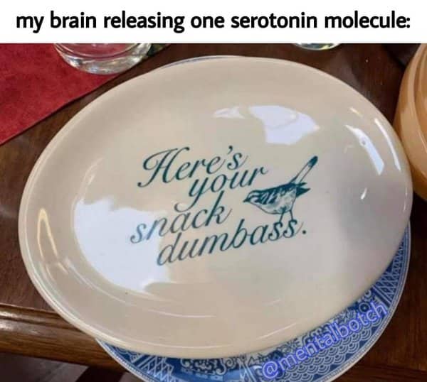 Bad mood memes plate printed with a bird and the phrase here's your snack dumbass