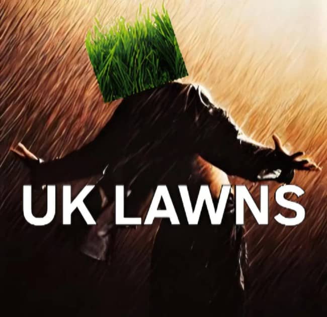 Rain-soaked movie pose meme with a grass head labeled UK lawns celebrating the weather
