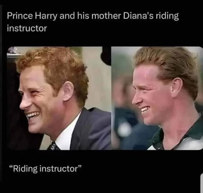 Side by side photos of Prince Harry and James Hewitt with a joking caption