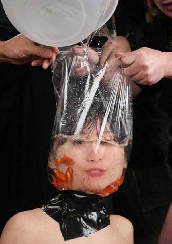 Woman with a water-filled plastic bag of goldfish taped around her head in a studio.