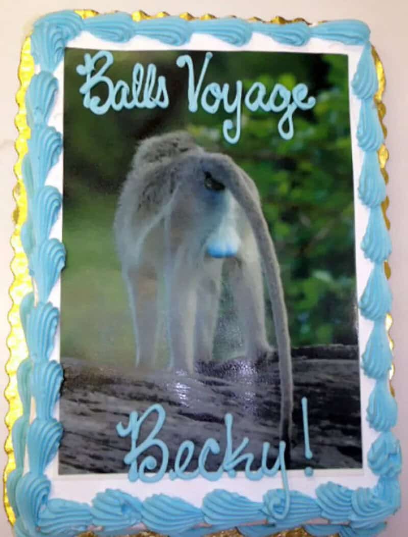 Goodbye cake with a photo of a monkey from behind and a Balls Voyage pun