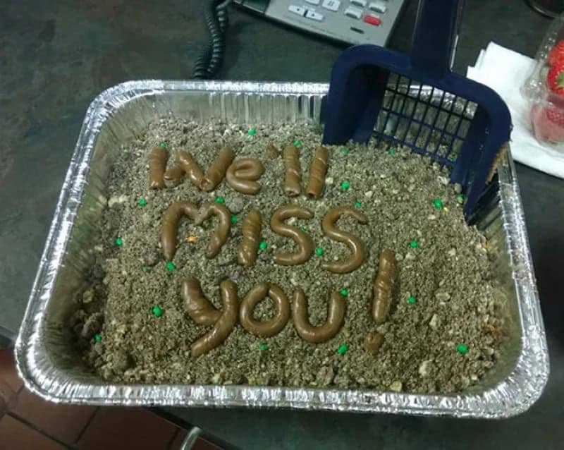 Litter box goodbye cake with candy droppings spelling we'll miss you and a scooper