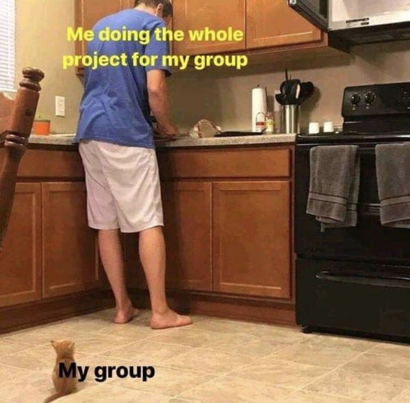 Man working at a kitchen counter labeled doing the whole project while a tiny kitten watches.