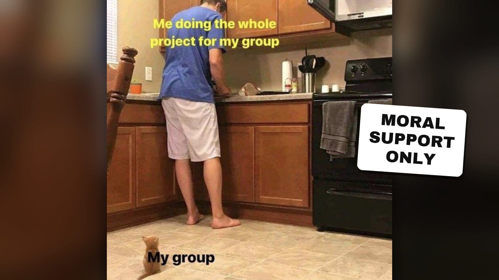 Man doing all the work at a kitchen counter while a small kitten labeled my group watches, a classic of group project memes.