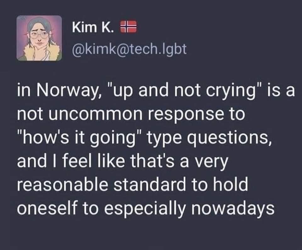 Social media post praising the Norwegian greeting 'up and not crying' as a reasonable daily benchmark in a meme dump.
