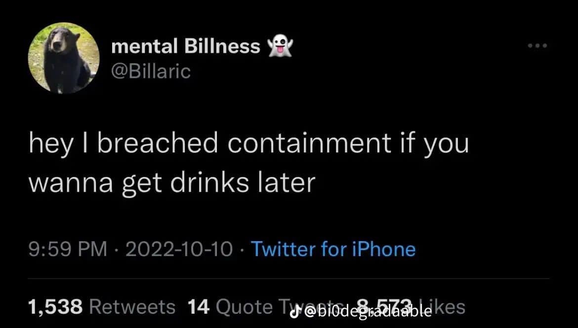 Tweet from an account with a bear avatar saying it breached containment and wants drinks.