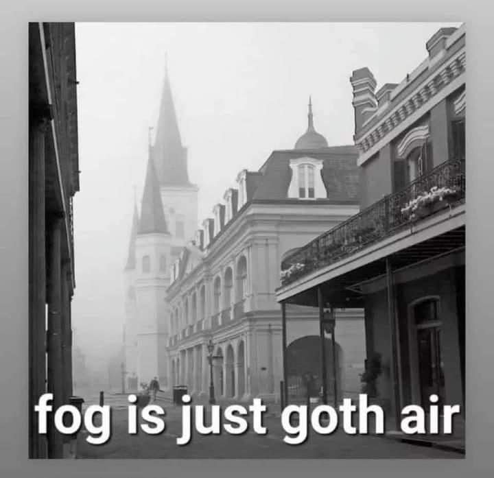 Meme dump photo of a foggy historic street with a cathedral, captioned fog is goth air.