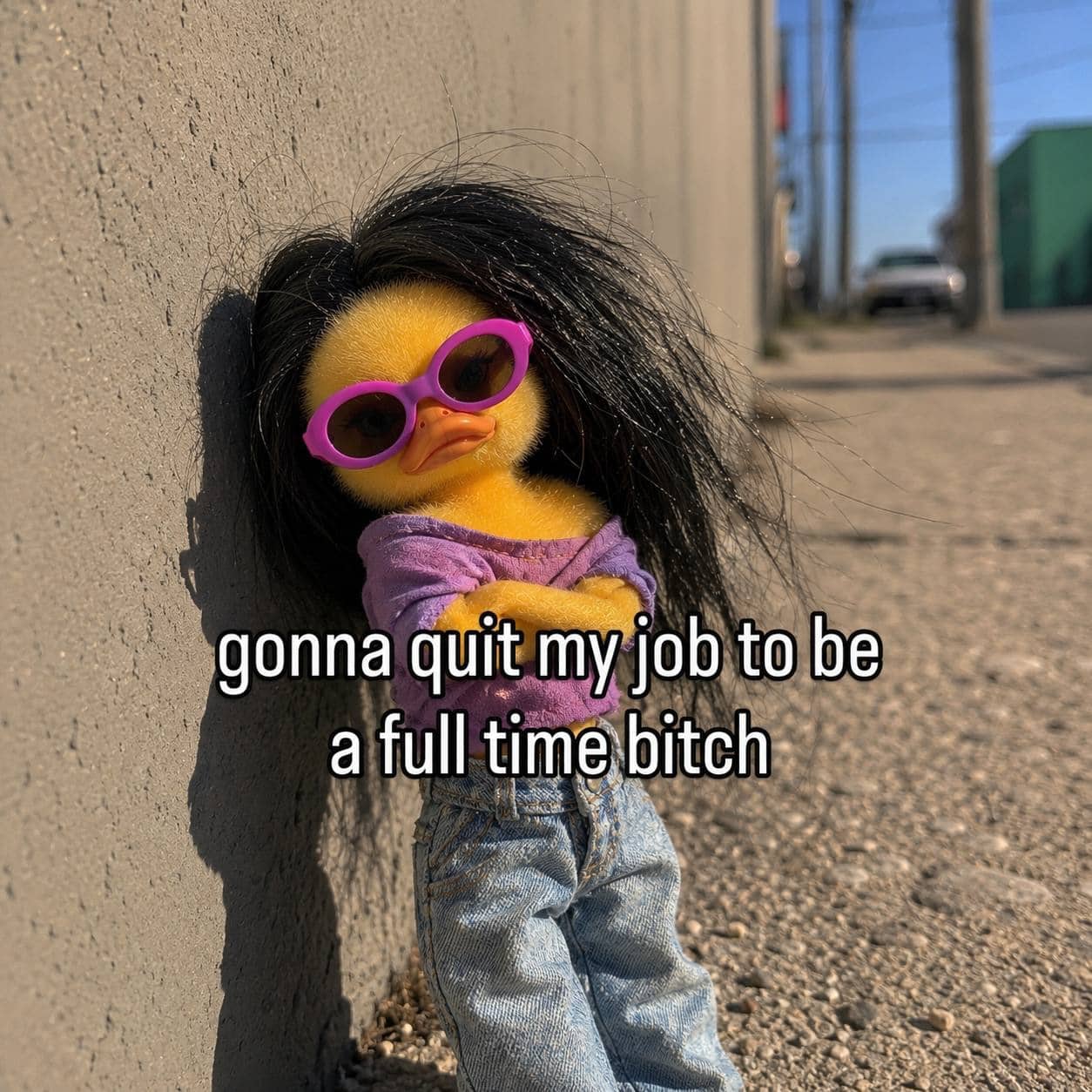 Funny meme of stylish duck in sunglasses leaning against wall with sassy job quote.