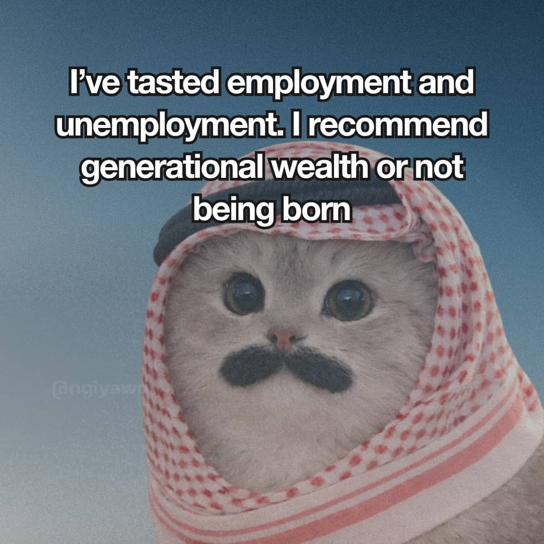 Memes image of a cat in a keffiyeh recommending generational wealth over working.