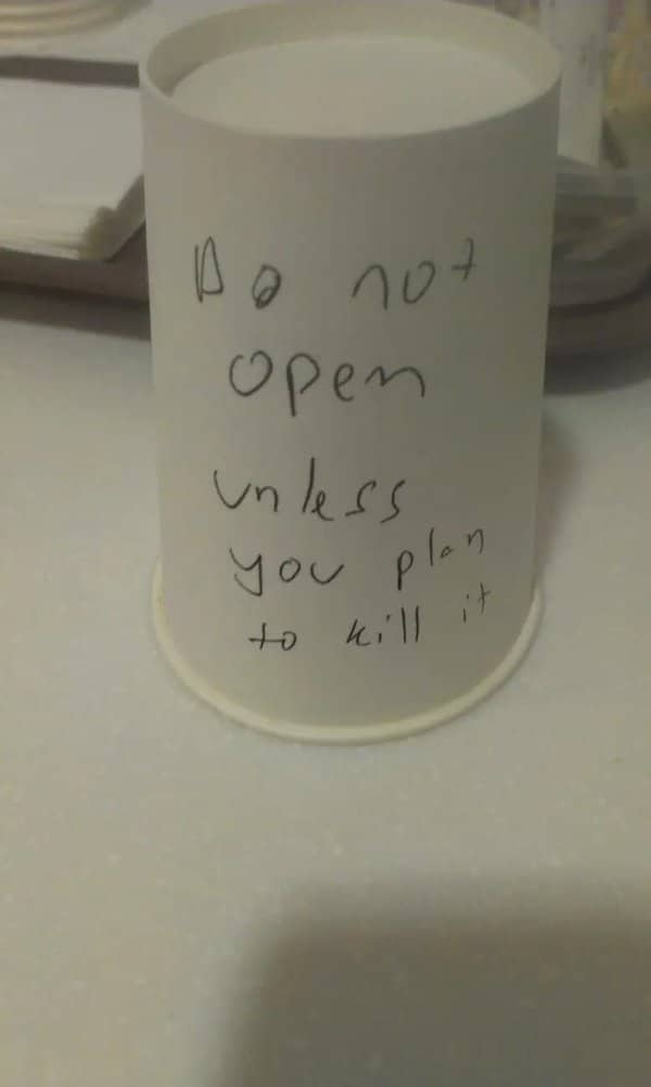 Upside down paper cup with a note saying do not open unless you plan to kill it