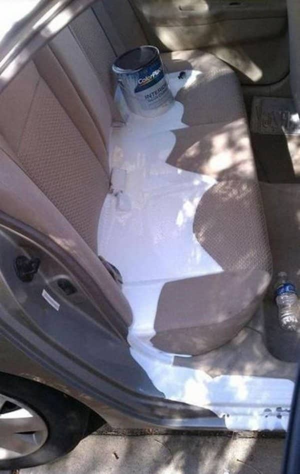 Gallon of white paint spilled across the back seat and floor of a beige car