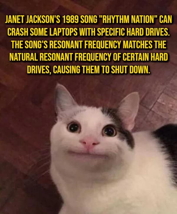 Awkwardly smiling cat face paired with a tech history random fact about Janet Jackson's Rhythm Nation crashing hard drives.