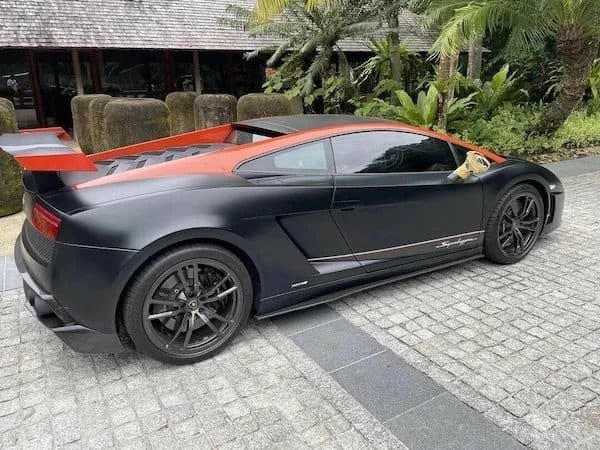 Matte black Lamborghini with a cheap plastic hand mirror taped on as a side mirror.