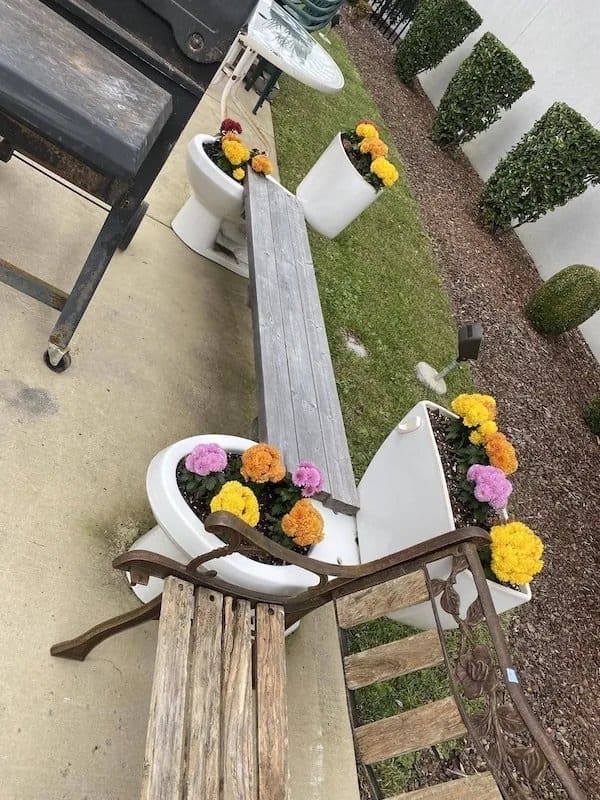 Old toilets used as flower planters with a wooden plank laid across them as a bench.
