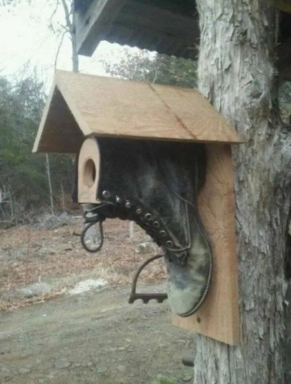 Birdhouse made from an old lace-up work boot with a wooden roof on a tree.