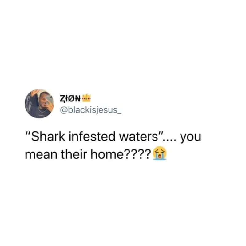 Text tweet pointing out that 'shark infested waters' is just their natural ocean habitat in a technically correct meme.