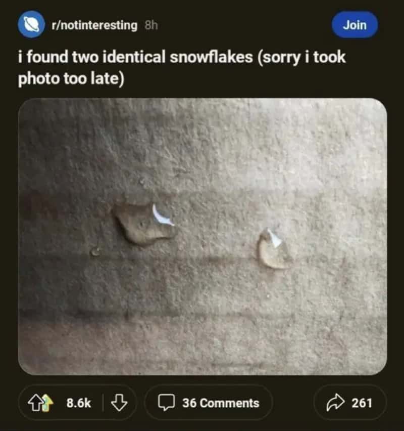 Two small water droplets on fabric, jokingly posted as identical melted snowflakes