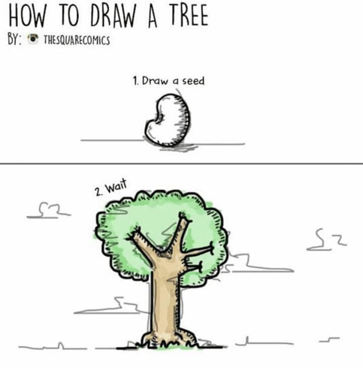 Instructions unclear comic on how to draw a tree: draw a seed, then wait