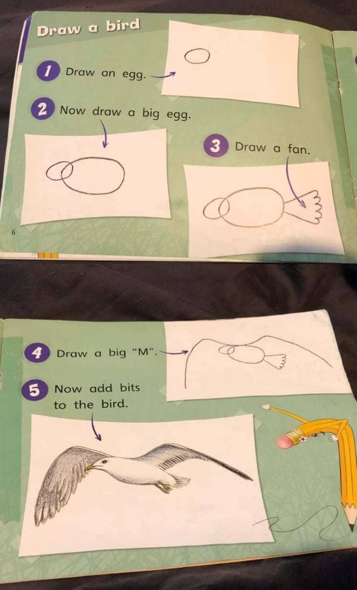 Instructions unclear kids book on drawing a bird, jumping from eggs to a detailed seagull