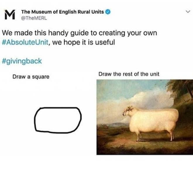 Museum tweet on drawing an absolute unit: draw a square, then draw the rest of the sheep