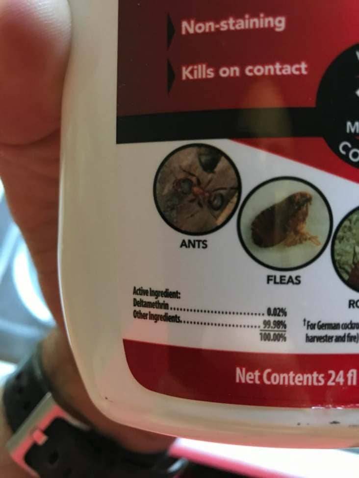Instructions unclear bug spray label promising it kills on contact, with ants and fleas pictured