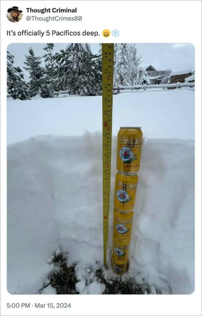 Snow depth measured with a tape measure next to a stack of five Pacifico beer cans.