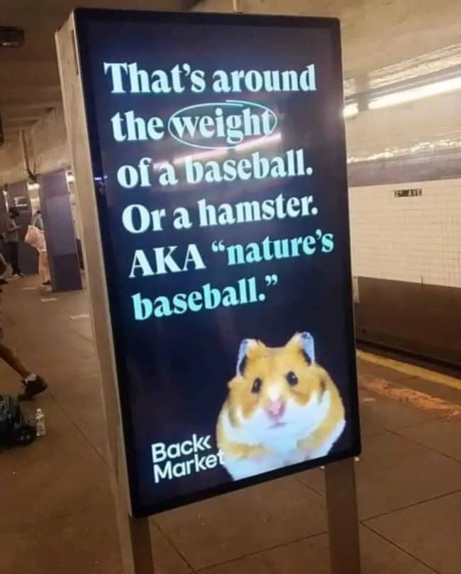 Subway ad comparing a weight to a baseball or a hamster, calling the hamster nature's baseball.