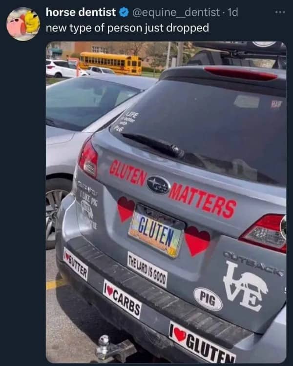 Silver Subaru covered in Gluten Matters, I love carbs, and pig themed bumper stickers