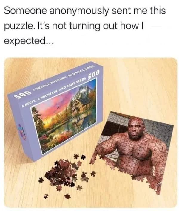 Puzzle box showing a mountain cabin while the finished puzzle reveals a shirtless man meme