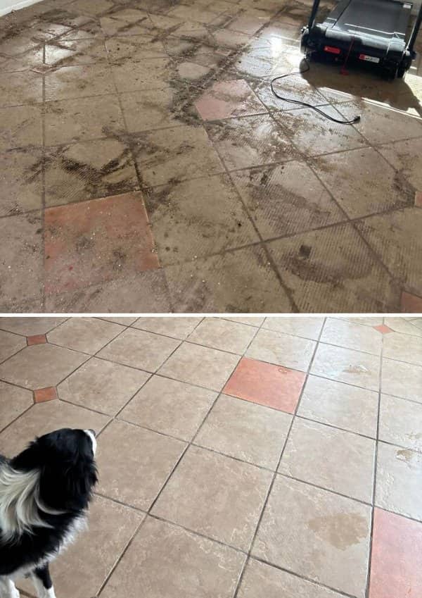 Mud-covered tile floor scrubbed clean while a black and white dog inspects the results.