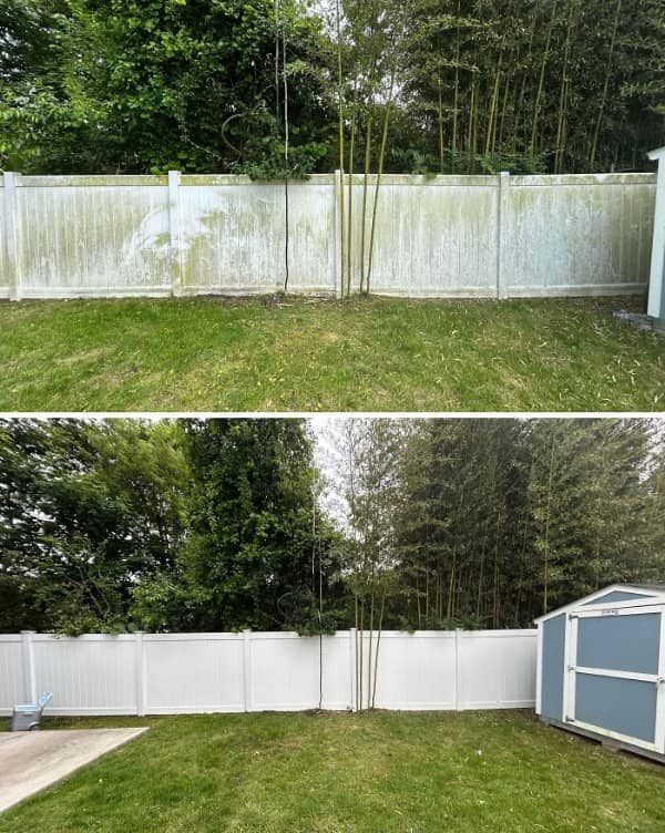 Mildew-stained white vinyl backyard fence power washed back to bright white beside a blue shed.