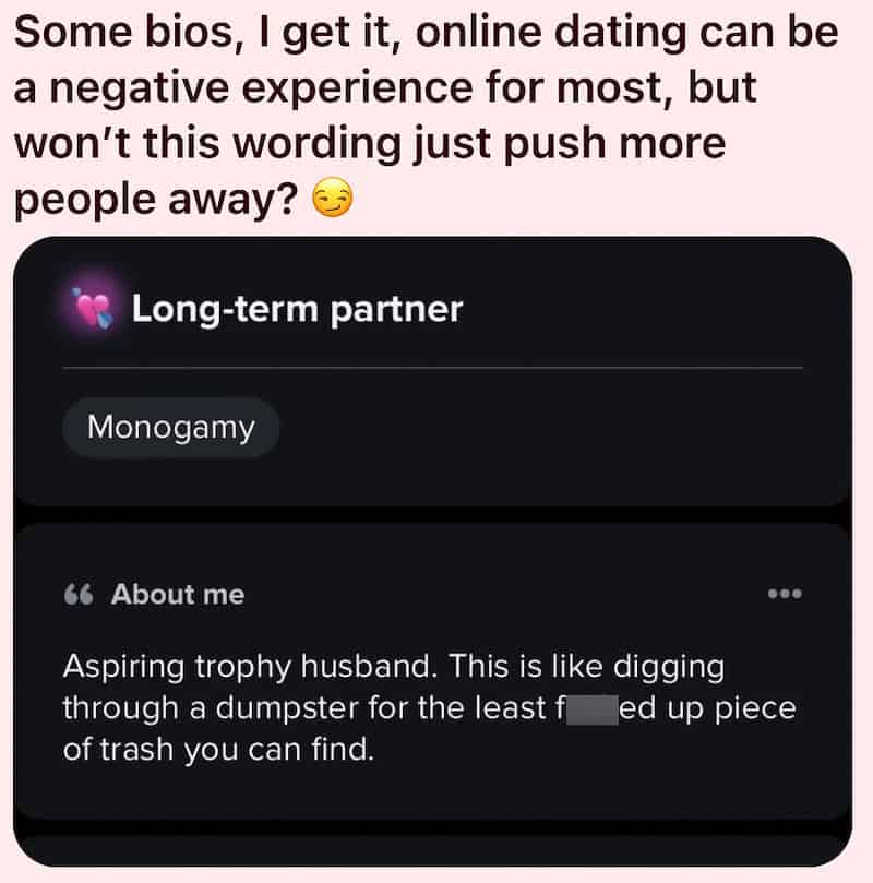 Dating bio from an aspiring trophy husband comparing dating to digging through a dumpster.