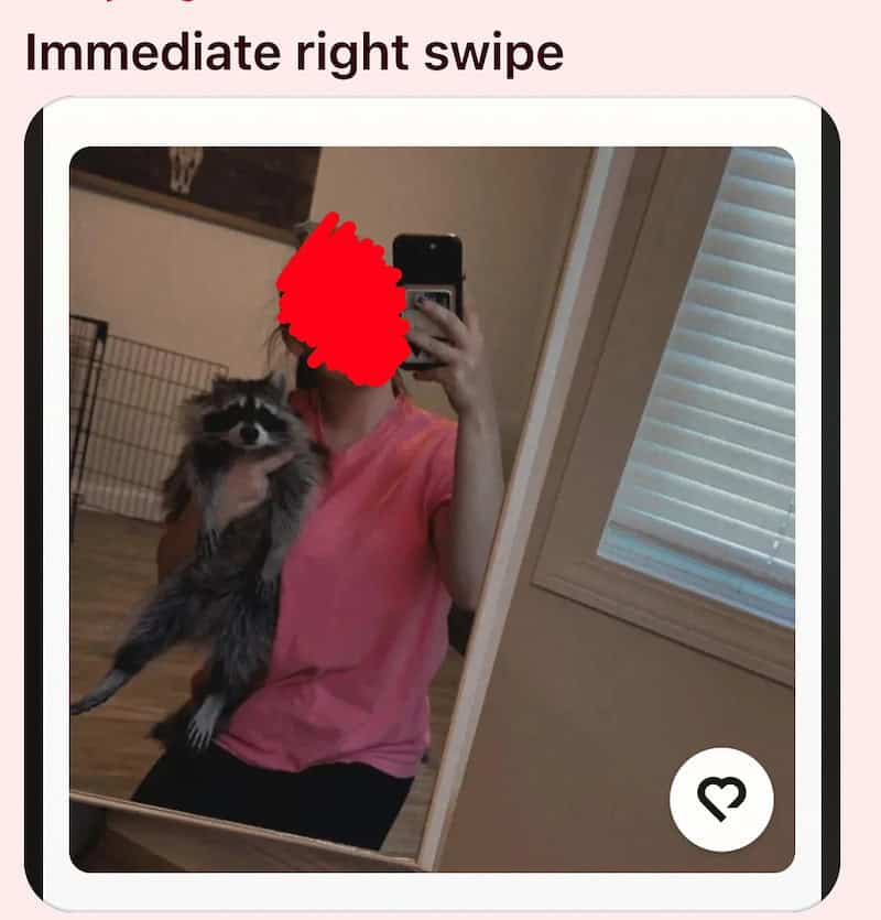 Mirror selfie of a woman holding a raccoon, shared as an immediate right swipe.